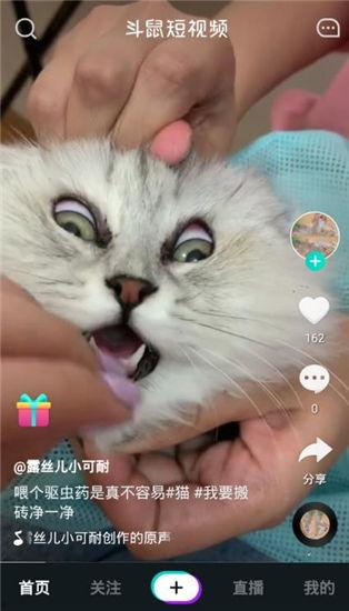 最新爆料老鼠视频下载,最新老鼠视频下载事件引发热议