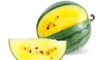 瓜瓜吃瓜网红,揭秘网红界的“瓜王”传奇 第3张 瓜瓜吃瓜网红,揭秘网红界的“瓜王”传奇 第3张